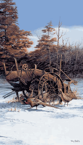 (image for) Rusty Refuge I Pinnacle Print